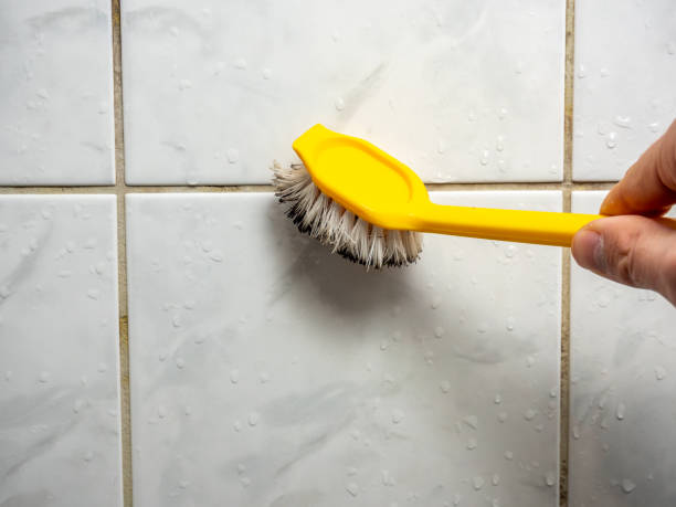 Best Office Mold Removal Services  in Clementon, NJ