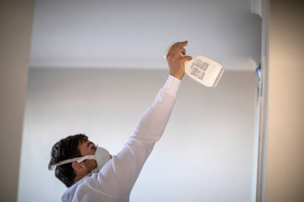 Best Residential Mold Removal  in Clementon, NJ