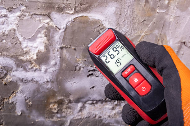 Best Mold Damage Repair  in Clementon, NJ