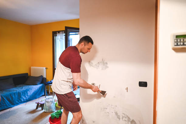 Best Black Mold Removal  in Clementon, NJ